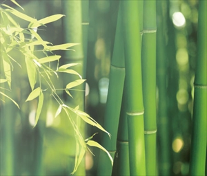 竹製カトラリー